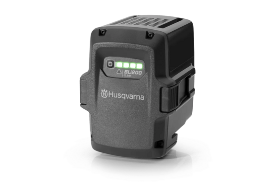 Akku BLi200